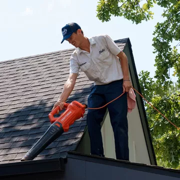 Gutter Cleaning